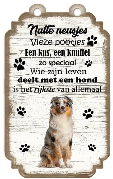 Australian Shepherd Dog