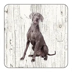 Onderlegger - Weimaraner