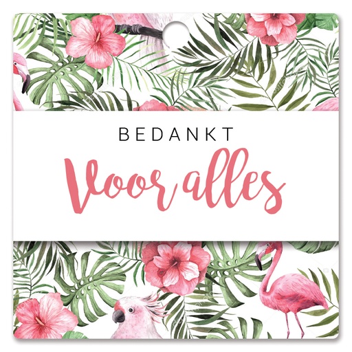 [HBK-221] Bedankt voor alles