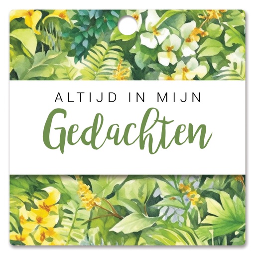[HBK-224] Altijd in mijn gedachten